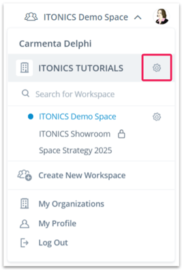 ITONICS organization