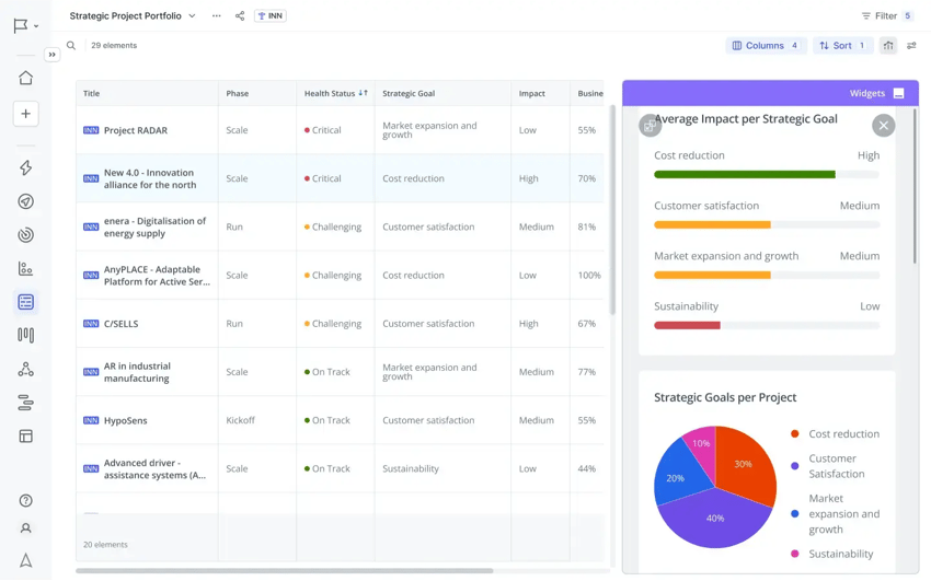 Strategic Project Portfolio