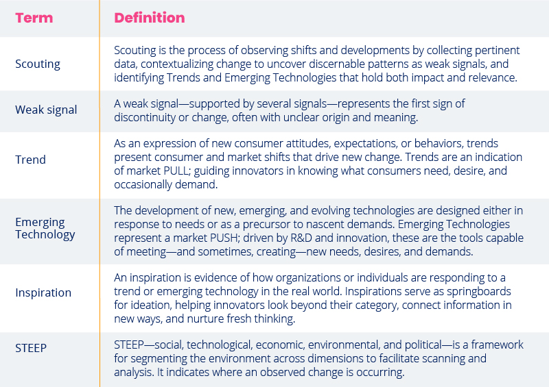 Environmental Scanning - Definitions & Terminology