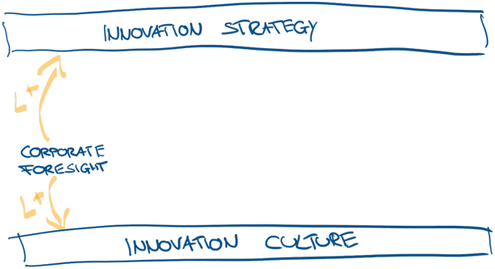 Corporate Foresight Innovation Strategy and Innovation Culture Process