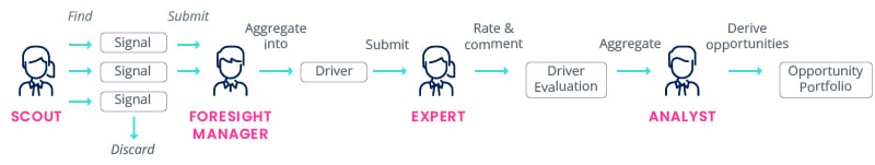 Roles in an Environmental Scanning Team