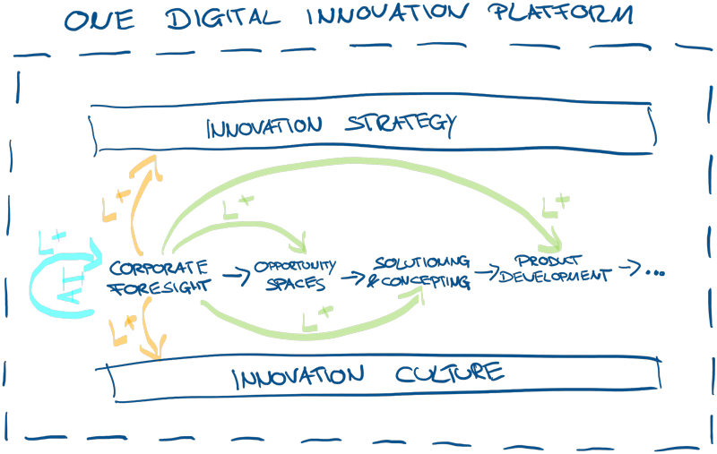 Innovation Process supported by an Innovation Platform1