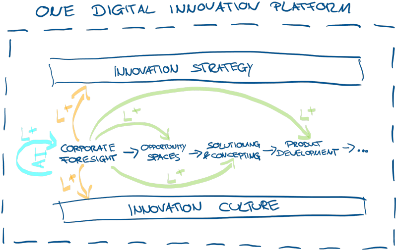 Innovation Process supported by an Innovation Platform1