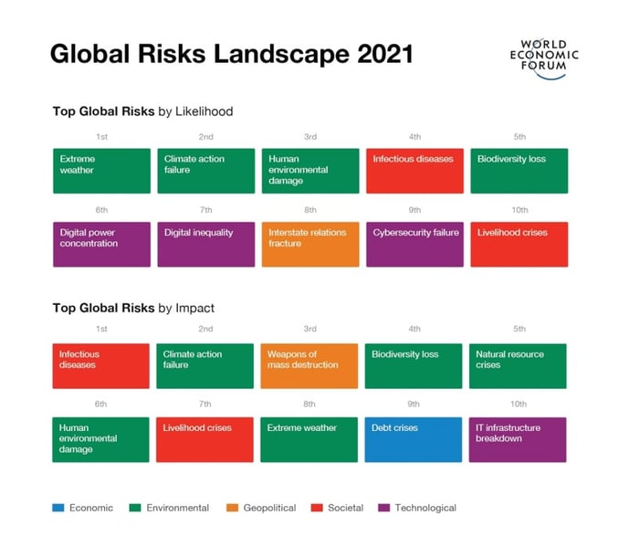 World Economic Forum Global Risks Report, 2021