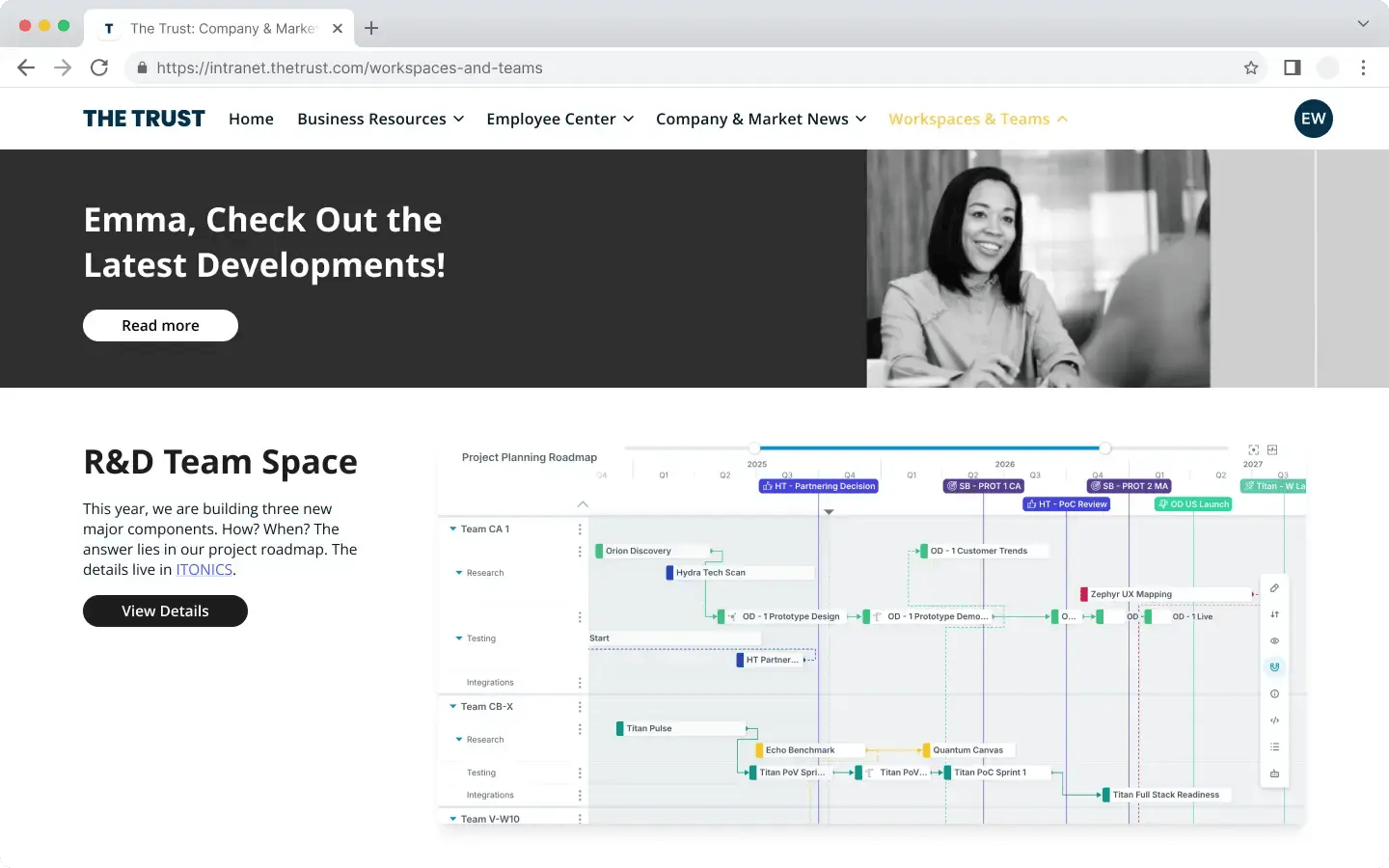 Embedding a roadmap on an Intranet page | ITONICS