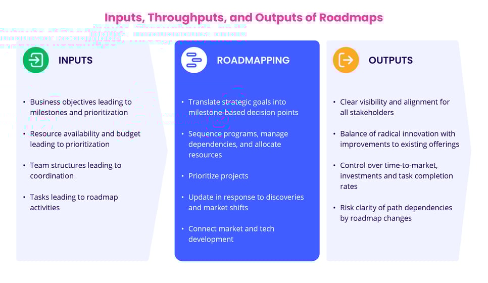 Inputs, Throughputs, and Outputs of Roadmaps