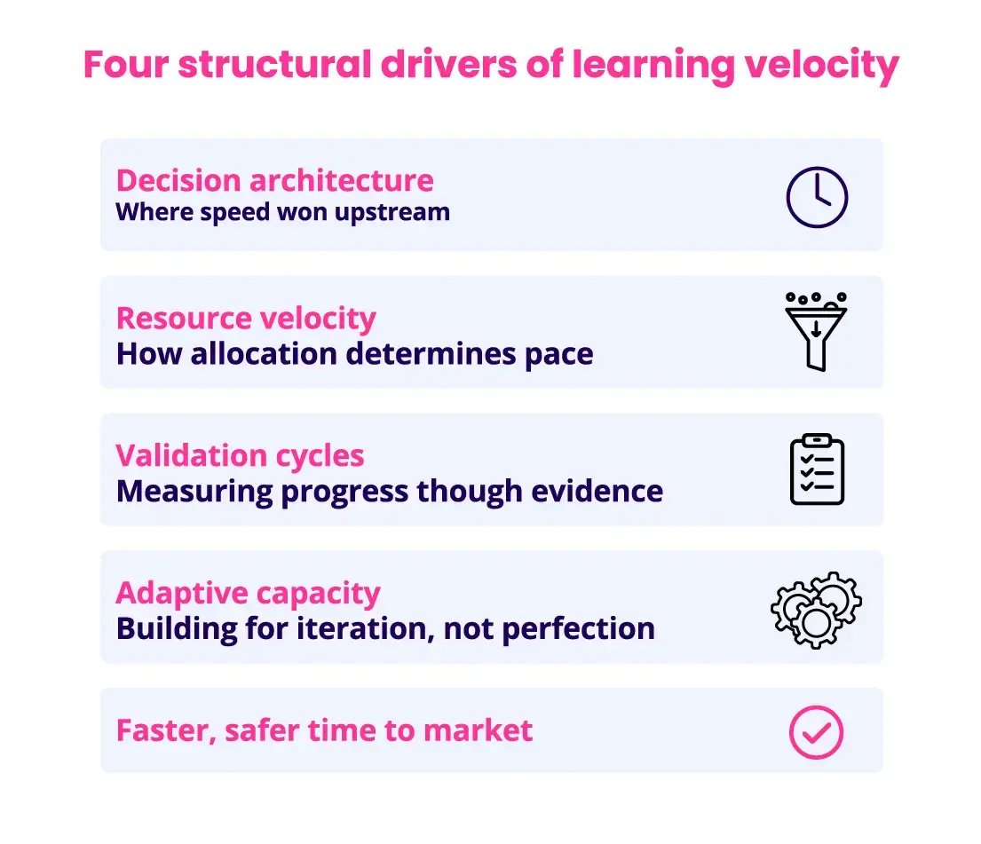 4 Drivers of Learning Velocity