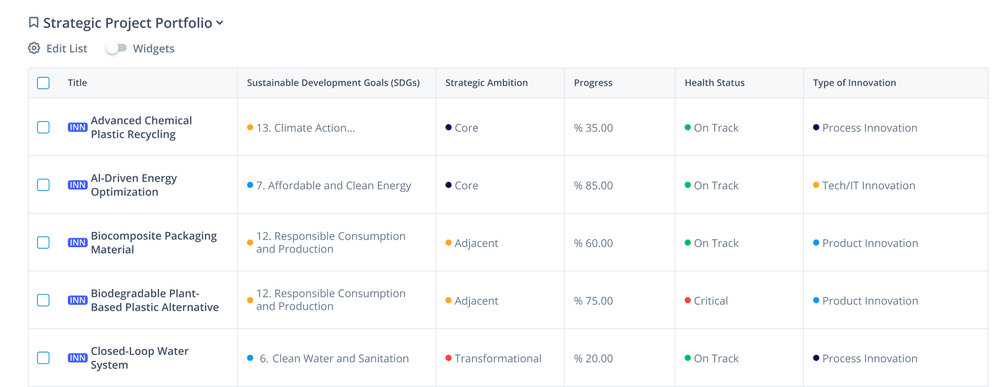 Strategic Project Portfolio with SDGs