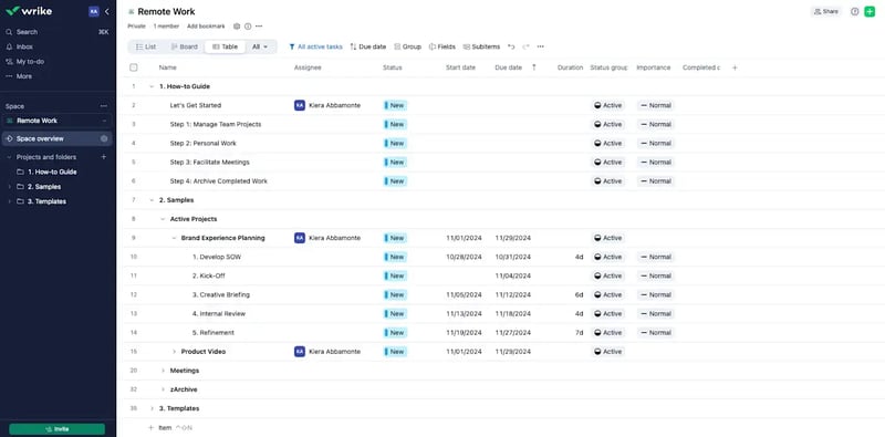 Wrike Project Management Software