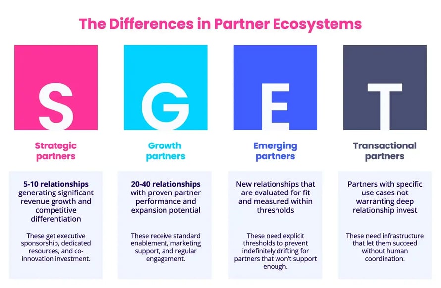 The Differences in Partner Ecosystems