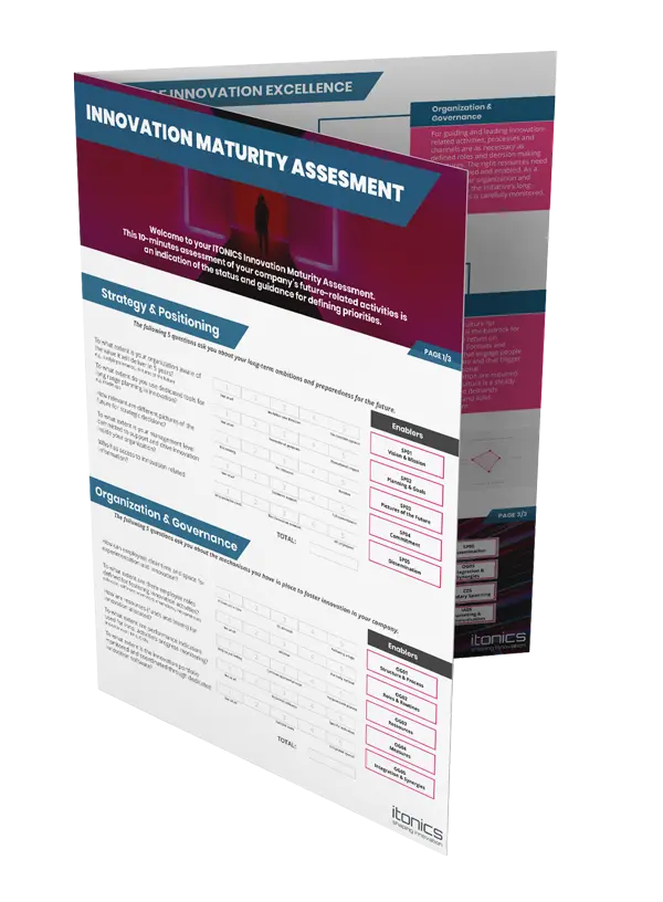 Maturity-Assesment-Step-2
