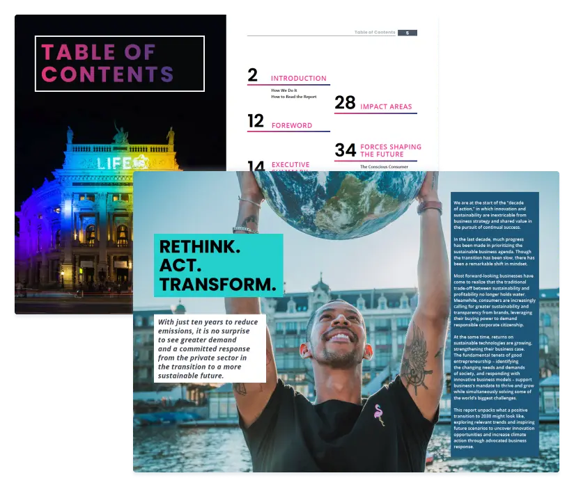 Sustainability & Innovation Report - Free Download