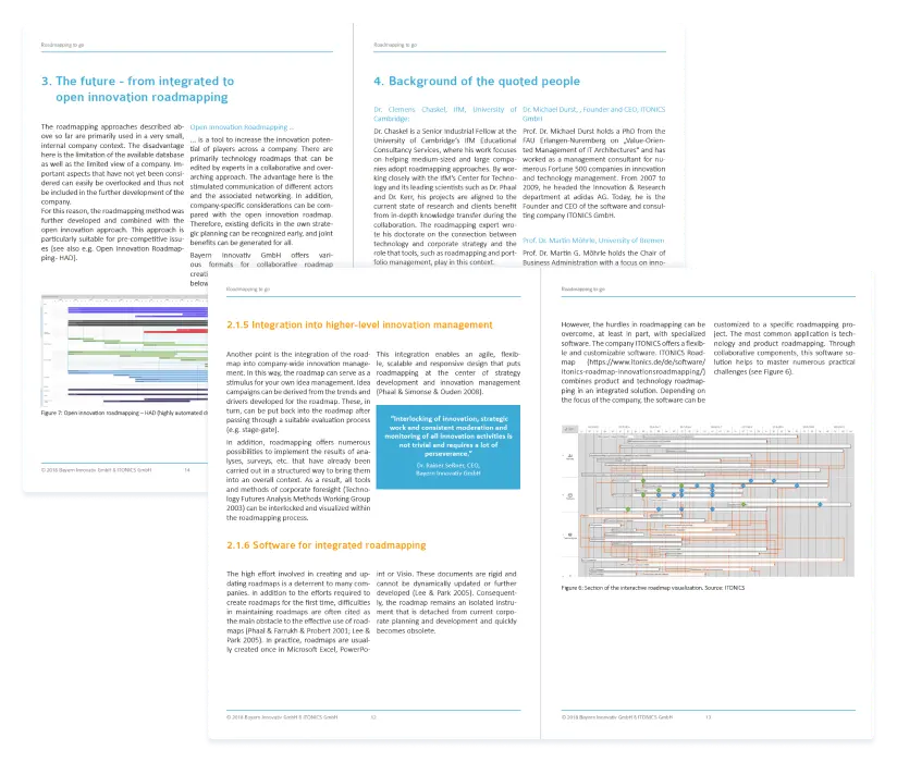 Overview - Roadmapping White Paper PDF ITONICS